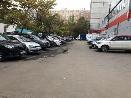 ����� ��������� ���������� ���������� ����� ��������� ������������ ����� 4� (���� �11)