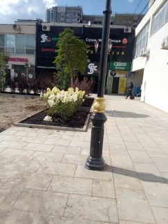 ������ ��������� ����� �������� (���� �2)