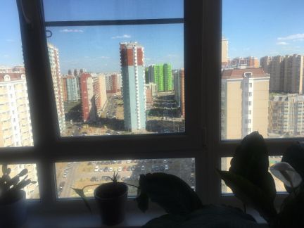 �� ���������� ������ �������� �� ����������� (���� �15)
