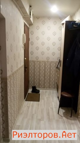 ����� �������� �������������� ����� 38 (���� �8)
